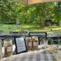 View on the back patio where we had breakfast. Also had homemade granola which was amazing   at Black Sheep Inn in Hammondsport