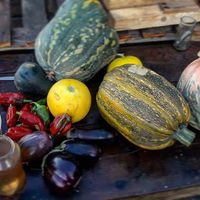 Veggis from the Garden at Veganoteca in La Palma