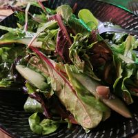 Salad at Il Forno Pizzeria in Palm Cove