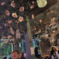   at Rampart Treehouse in New Orleans