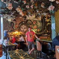 Murals on the walls and magnolia tree above at Rampart Treehouse in New Orleans