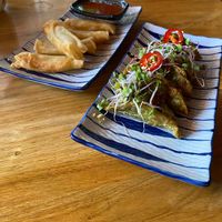 Spring rolls and Gyoza's at Xu Noodle Bar in Tilburg