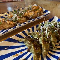 Vegan crispy strips and the dumplings  at Xu Noodle Bar in Tilburg