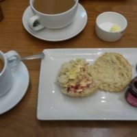 Vegan scone at National Trust in Droitwich Spa