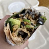 Chipotle black bean Burrito  at The Wild Cow in Nashville