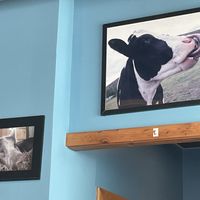 Decorations   at The Wild Cow in Nashville