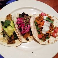 Taco Sampler at The Wild Cow in Nashville