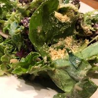 Cesar salad at The Wild Cow in Nashville