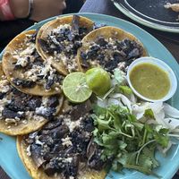 Tacos portobelloo  at Goji in Saltillo