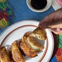Vegan dumplings  at Shin-La Restaurant & Sushi Bar in Brattleboro
