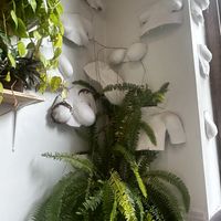   at Sleepyhead Coffee in Chattanooga