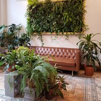 Beautiful sitting area at Sleepyhead Coffee in Chattanooga