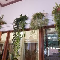 Ivy at Sleepyhead Coffee in Chattanooga