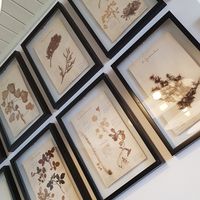  at Rabaçal Nature Spot Café in Estreito Da Calheta