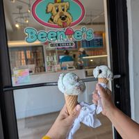 Mint and chocolat Ice Cream (made with oat Milk) at Beenie's in Morristown