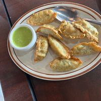 Veggie momo  at Hyderabad Indian Grill in Rochester