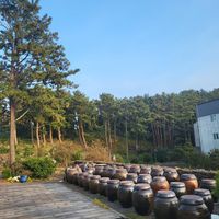  at Puleunsolmalg Eunhyang 푸른솔맑은향 in Jeju