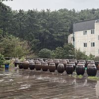 Jangdokdae. Jang (Fermented sauce) in the pots!   at Puleunsolmalg Eunhyang 푸른솔맑은향 in Jeju