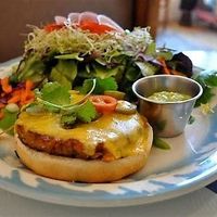 Hemp Burger with local greens! at Morning Glory Cafe in Flagstaff