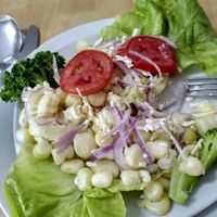 Starter at Vida Sana - Jesus Maria in Lima