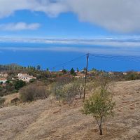  at Camu Camu in La Palma