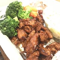 Close up of RIPP at Vegan Studio in Studio City