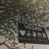 View from my table  at The Green Edge Cafe and Store in Windsor