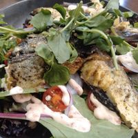 Mushroom salad at The Green Edge Cafe and Store in Windsor