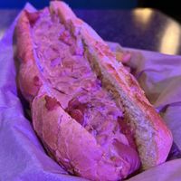 WIZARD DOG  at Pizza Cave in Jacksonville