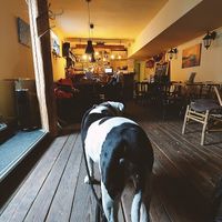 Inside of the bar at Chillout Bar in Ostrava
