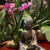 Interior   at Grace's Mandarin in National Harbor