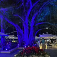   at Moana Surfrider in Honolulu