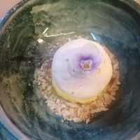 Lemon meringue at Winners Vegan Restaurant in Athens