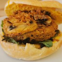 Deluxe at El Jardi in Mataro