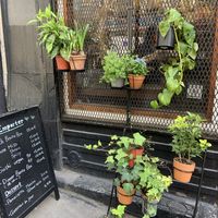 So cute!  at Itadakizen Paris in Paris