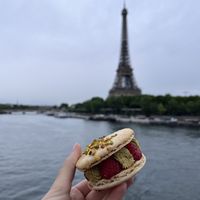 Macaron with pistachio cream & raspberry to go!  at Land & Monkeys - Beaumarchais in Paris