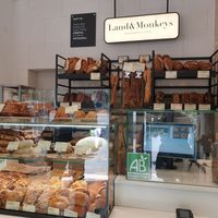  at Land & Monkeys - Beaumarchais in Paris