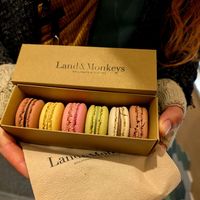  at Land & Monkeys - Beaumarchais in Paris