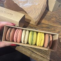   at Land & Monkeys - Beaumarchais in Paris