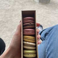 Macarons  at Land & Monkeys - Beaumarchais in Paris