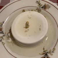Panna cotta with camomile   at Al Sanpietrino Trattoria in Lisbon