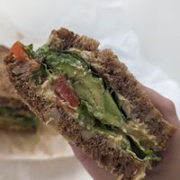  at VANtastic in Funchal