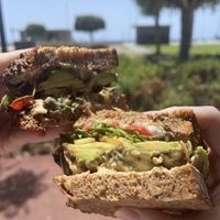   at VANtastic in Funchal