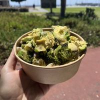   at VANtastic in Funchal