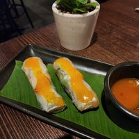 Rice paper rolls at Thai Lotus in Albury