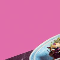 Tartar de remolacha con helado de trufa y ensalada de hierbas agripicantes at Virens in Barcelona