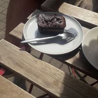 Brownie at KIRAS in Kaunas