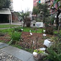 Garden at Un Posto a Milano in Milan