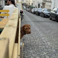   at Urban Greener in Paris