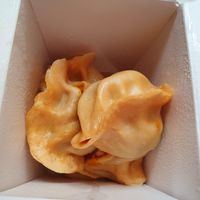Organic Vegan Dumplings at Dumpling the Noodle in Seattle